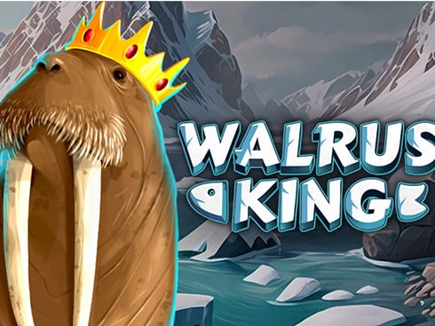 Walrus King game cover